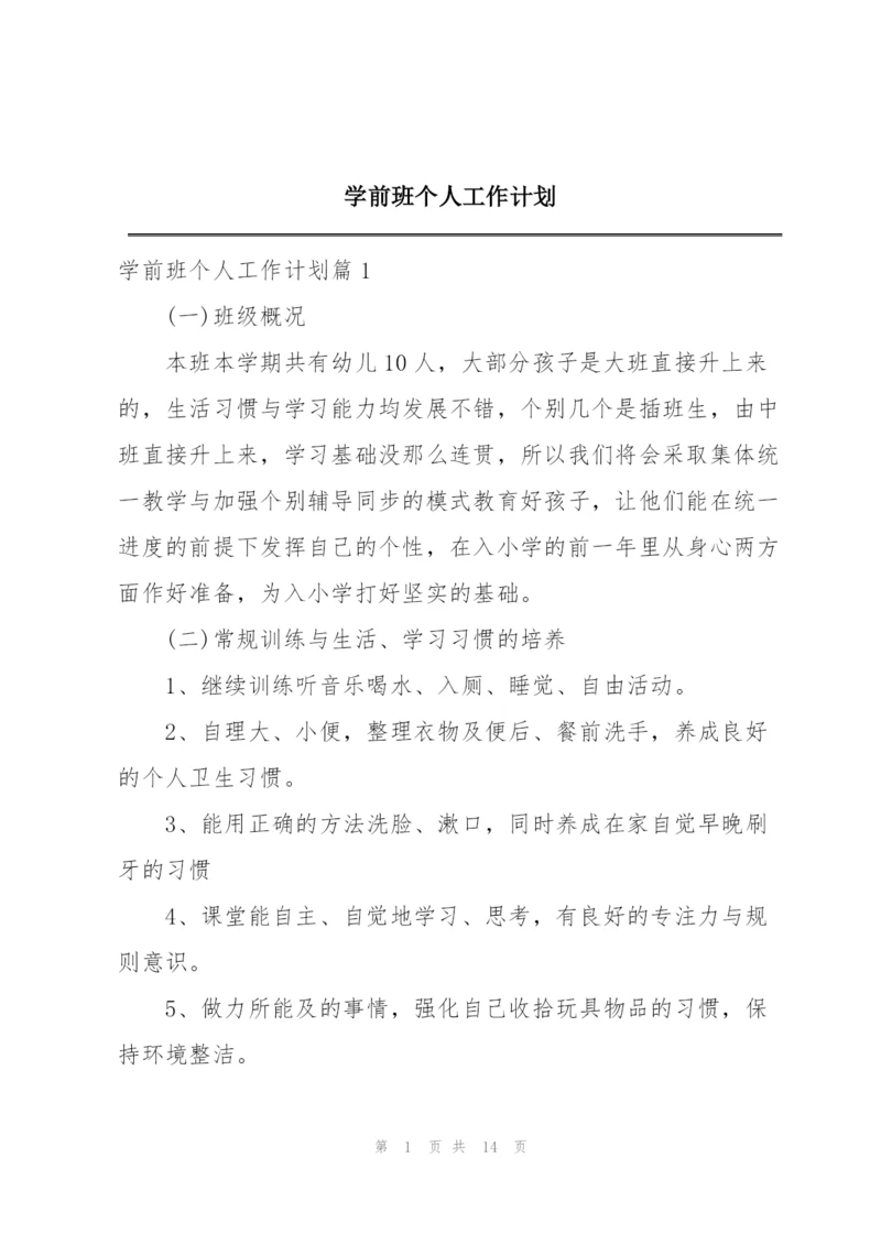 学前班个人工作计划.docx