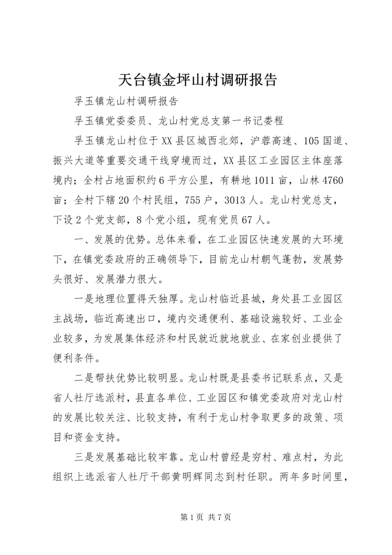 天台镇金坪山村调研报告 (3).docx