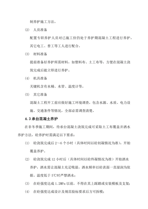 桥梁混凝土养护专项方案修改版.docx