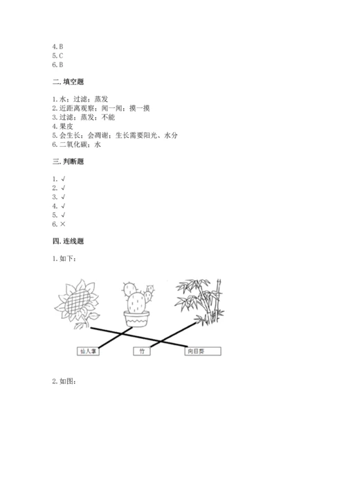 教科版科学一年级上册第一单元《植物》测试卷及1套参考答案.docx