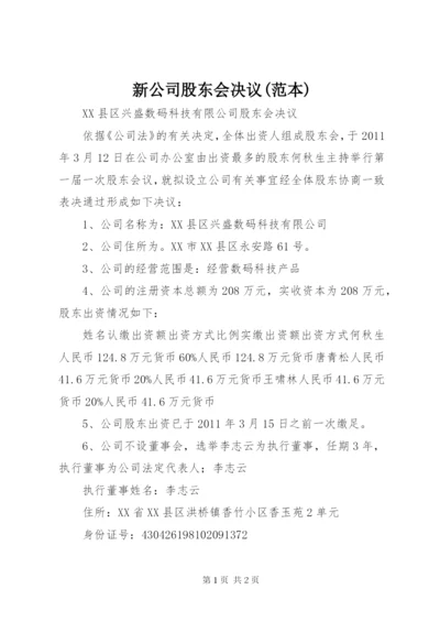 新公司股东会决议(范本).docx