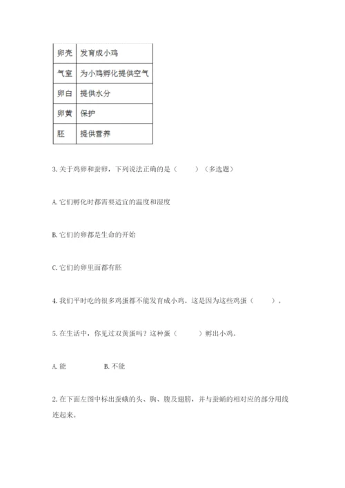 教科版科学三年级下册期末测试卷含答案【夺分金卷】.docx