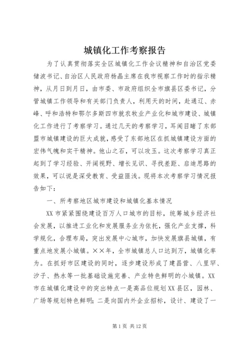 城镇化工作考察报告 (5).docx
