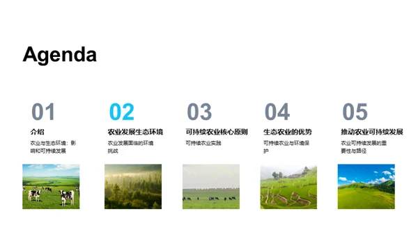 简约风农林牧渔学术答辩PPT模板
