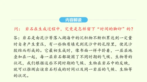 第8课 时间的脚印 统编版语文八年级下册 同步精品课件