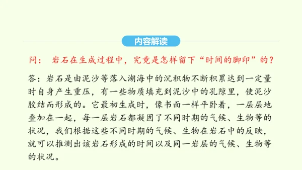 第8课 时间的脚印 统编版语文八年级下册 同步精品课件