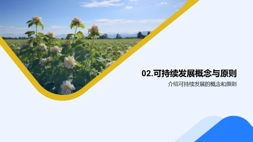 绿色薯种：环保农业