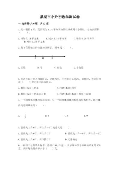 巢湖市小升初数学测试卷审定版.docx