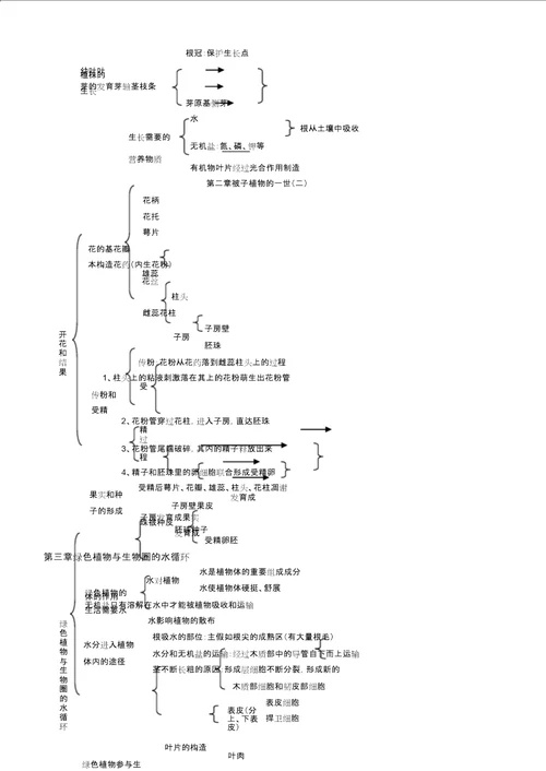 七年级生物上册知识要点 6896