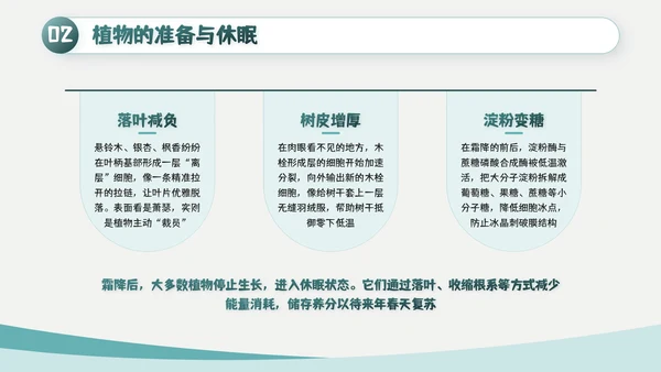 绿色简约风霜降主题班会PPT模板