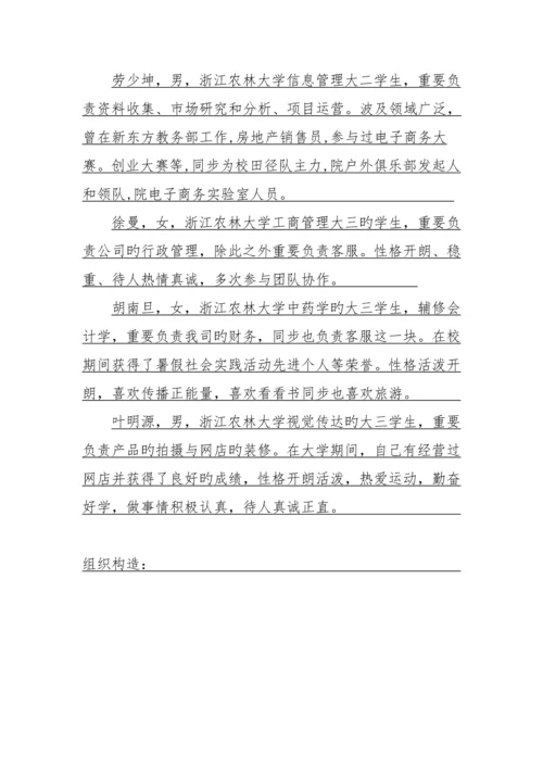 电商创业综合计划书.docx