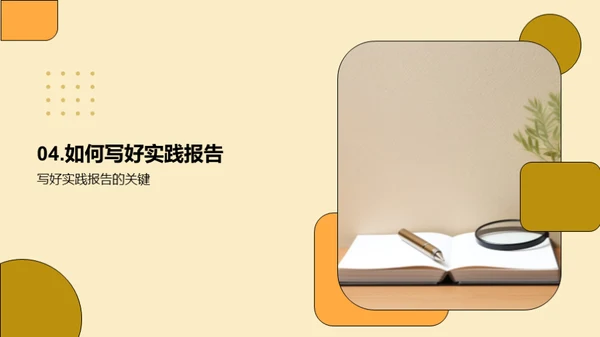实践报告精要