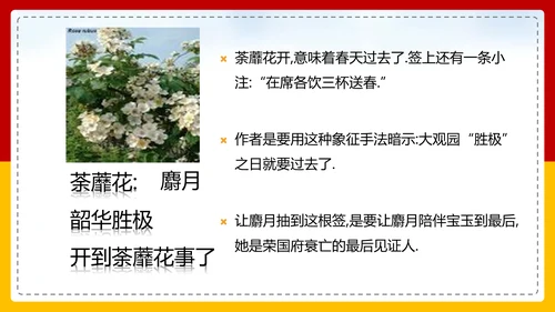 红楼梦选读高中语文教学PPT课件