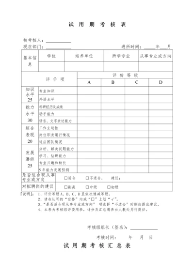 试用期考核表.docx