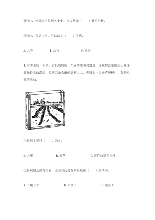 教科版科学二年级上册期末考试试卷带答案（实用）.docx