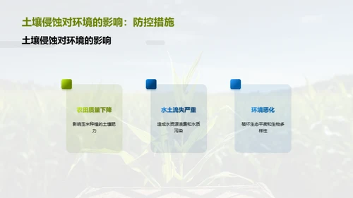 绿色农业：玉米种植新篇章