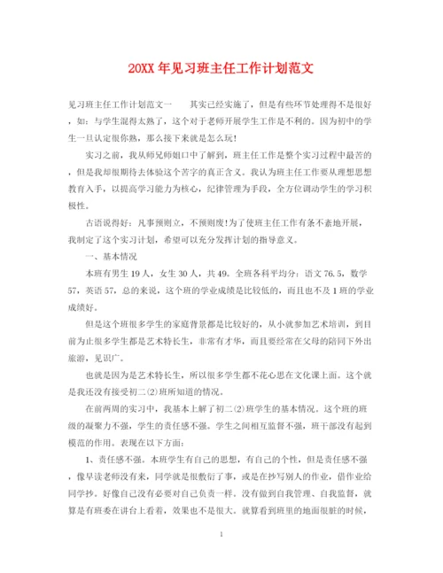 精编之见习班主任工作计划范文.docx