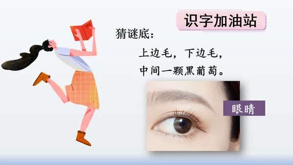 【同步课件】部编版语文三年级上册  语文园地八（2课时）