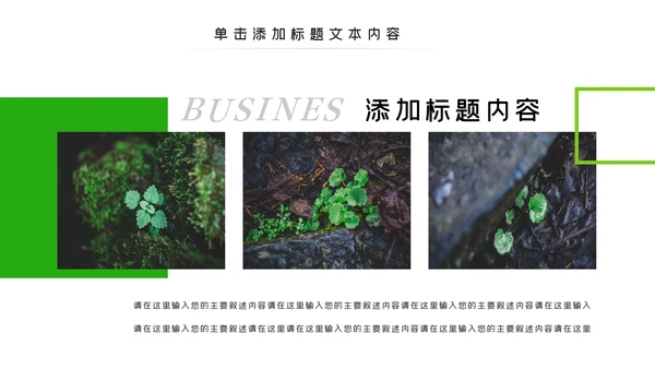 唯美绿色植物发芽植物生长敬畏生命PPT模板