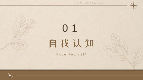 美拉德色大学生职业生涯规划PPT模板