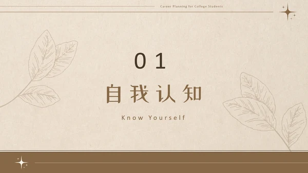 美拉德色大学生职业生涯规划PPT模板
