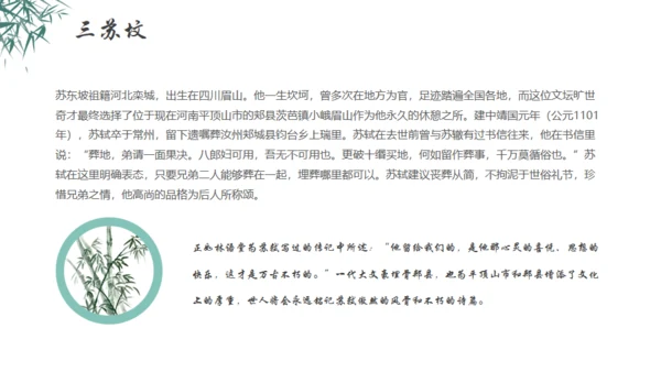 秉天地正气传三苏家风,苏轼介绍通用PPT模板