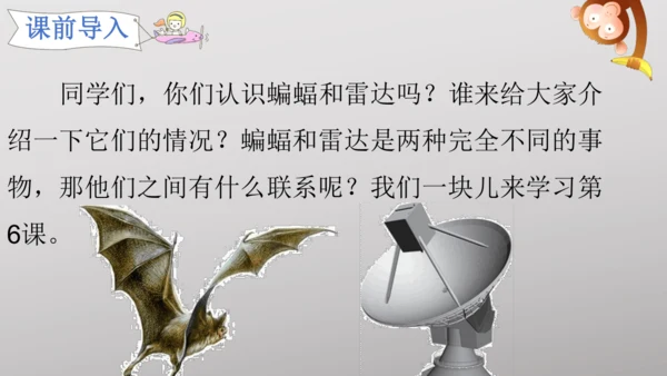 6 夜间飞行的秘密   课件
