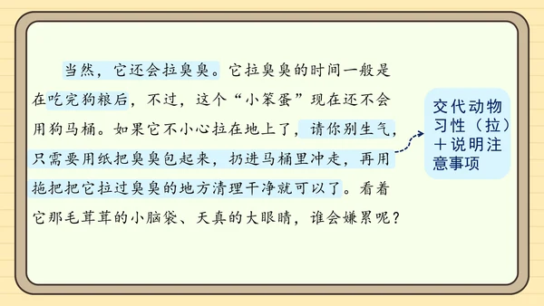 统编版语文四年级下册习作：我的动物朋友（课件）