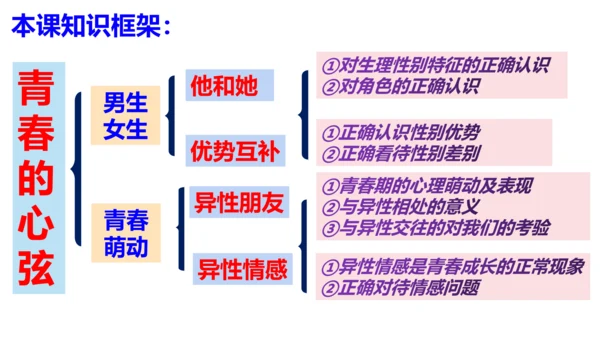 第二课 青春的心弦复习课件（22张）