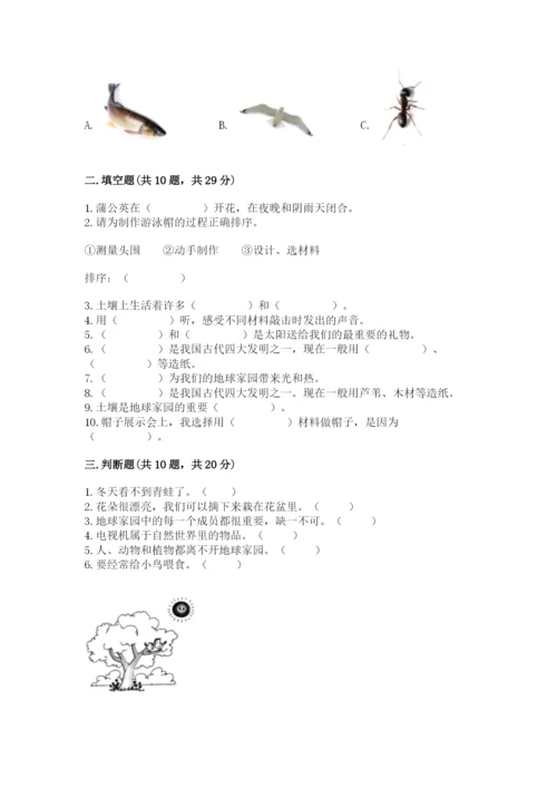 教科版科学二年级上册期末测试卷及参考答案（考试直接用）.docx
