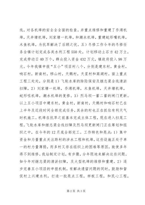 乡镇水利站年度工作总结报告.docx