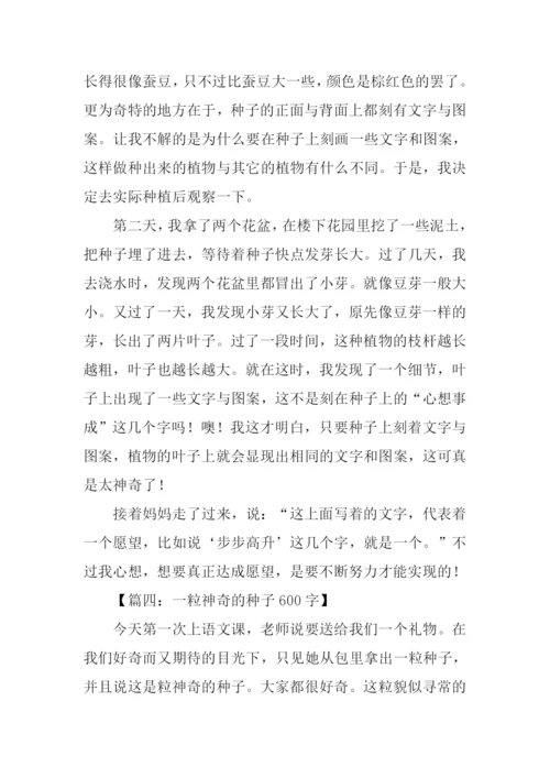 神奇的种子作文.docx