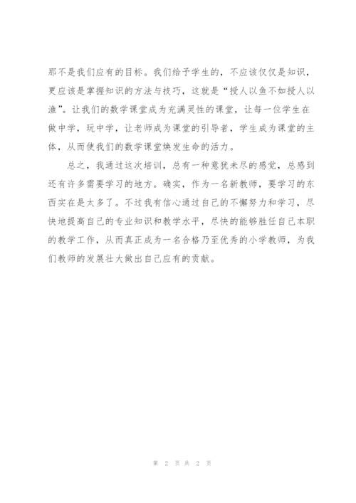 教师工作总结  小学新教师岗前培训总结.docx