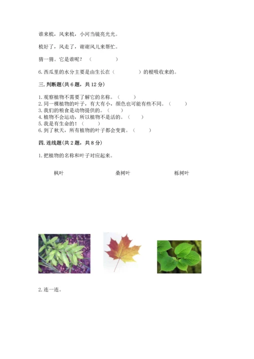 教科版科学一年级上册第一单元《植物》测试卷含答案（模拟题）.docx