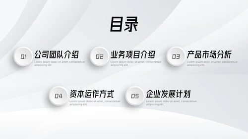 微粒体商业计划书PPT模板