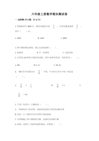 六年级上册数学期末测试卷及参考答案ab卷.docx