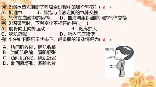 人教版（新课标）七下生物第四单元第一至三章复习课件(共34张PPT)