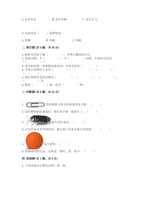 教科版小学科学一年级下册期末测试卷精品有答案.docx