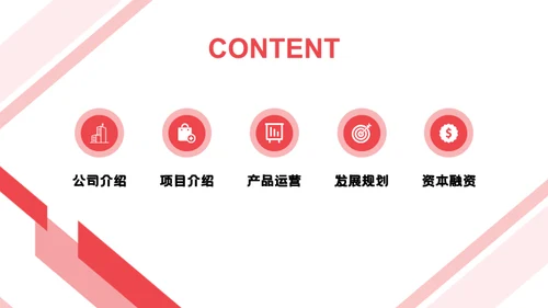 项目招商商业计划书通用PPT模版