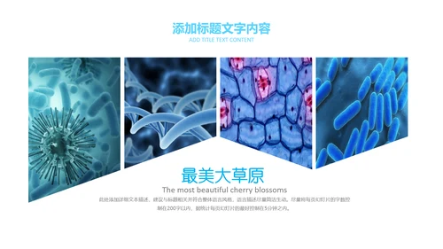 医疗细菌病毒微生物细胞组织动态ppt模板