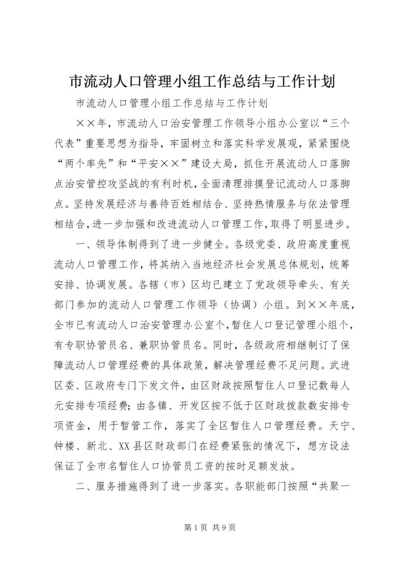 市流动人口管理小组工作总结与工作计划 (3).docx