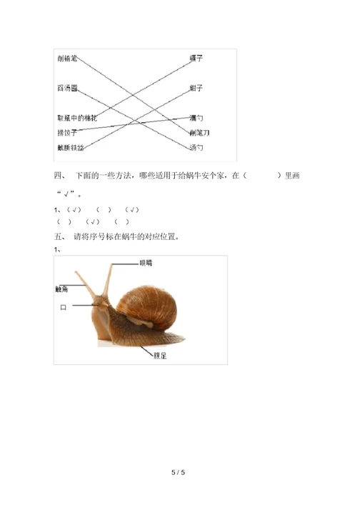 大象版一年级科学上册期末试卷(通用) 7470