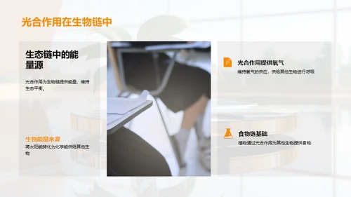 绿色能源之源