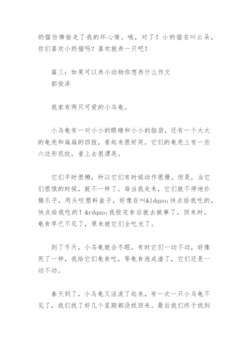 如果可以养小动物你想养什么作文(精选8篇).docx