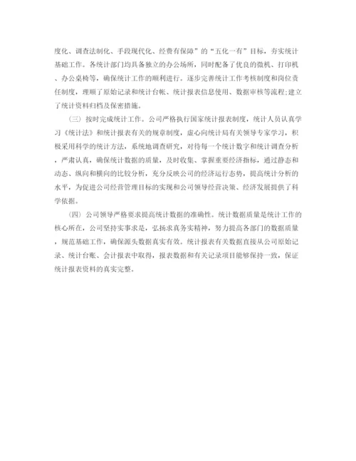 精编之统计年度工作总结范文.docx
