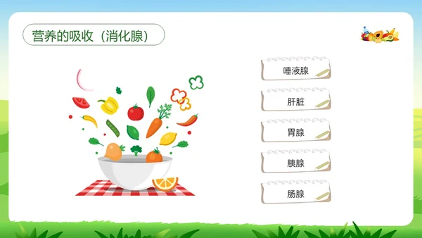 绿色插画合理营养与食品安全PPT模板宣传PPT动态PPT全民营养周
