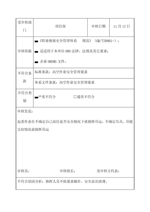 不符合项报告样稿