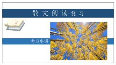 专题06 散文阅读【考点串讲】-2023-2024学年八年级语文上学期期末考点大串讲（统编版）(共3