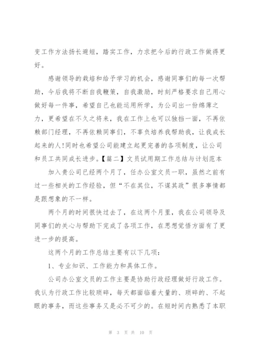 文员试用期工作总结与计划范本.docx