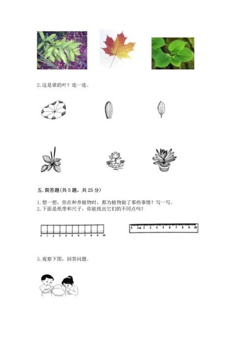教科版一年级上册科学期末测试卷加答案下载.docx